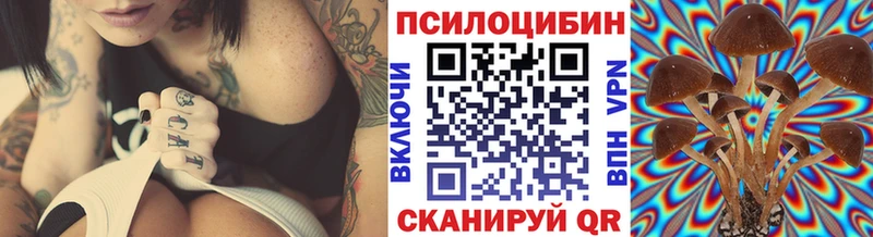 Галлюциногенные грибы Psilocybe  Называевск 